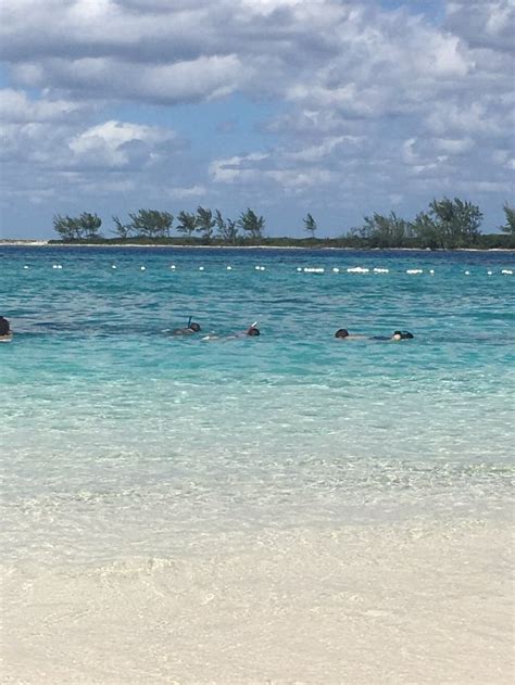 Tiki Bikini Hut Nassau Restaurant Reviews Phone Number Photos TripAdvisor