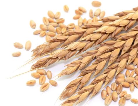 Unique quality | Kikkoman