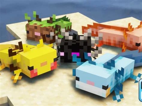 Minecraft Top 5 Skins For Axolotls