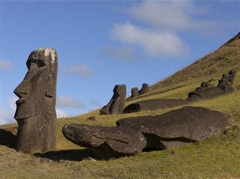 Rare D Couverte D Une Nouvelle Statue Moa Sur L Le De P Ques