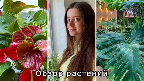 Обзор Растений апрель 2023 🪴 - YouTube