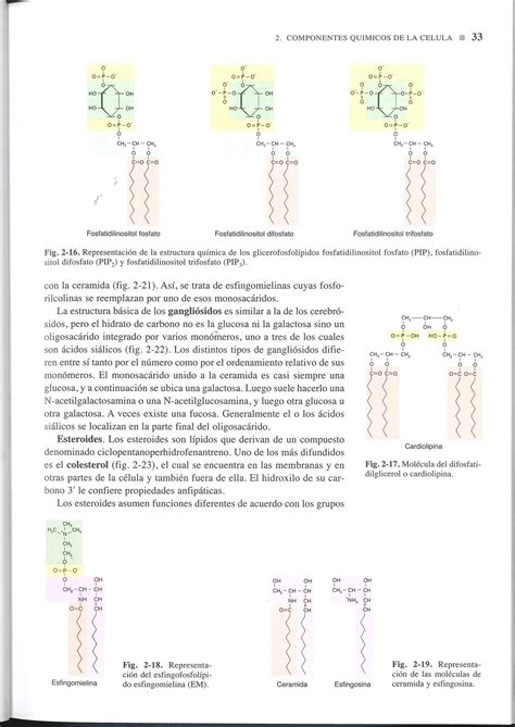 Biologia Celular Y Molecular De Robertis 16 Ed Primera Parte Pdf