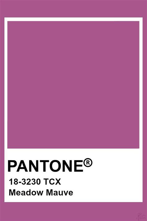 Pantone Meadow Mauve Pantone Tcx Pantone Palette Pantone Orange