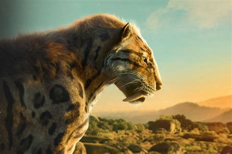La Vie Sur Notre Planète Le Nouveau Documentaire Netflix Produit Par