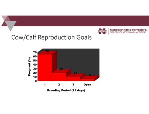 Beef Industry Flashcards | Quizlet