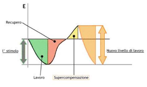 Il Riposo Allenamento Importante Analisi Tecniche Di Allenamento