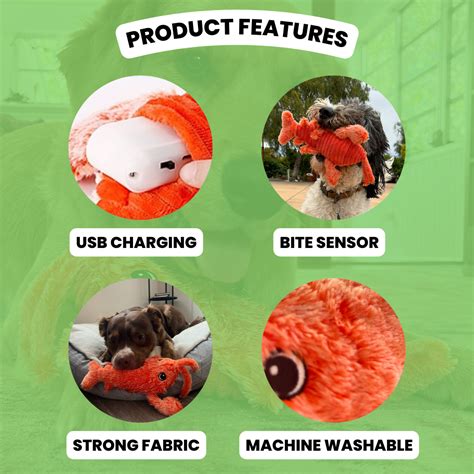 Wiggle Lobster Remtica Shop