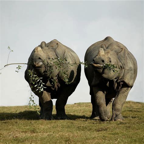 Naked Capitalism Finance Economics Politics Power