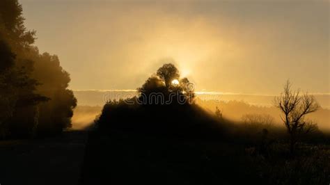 Quiet Morning Landscape of Silent Nature in Fog, Summer Stock Image ...