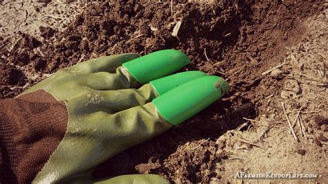 Honey Badger Gloves Gardening With Claws A Farmish Kind Of Life