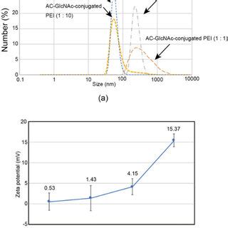 Gel Retardation Assay For Complexes Of AC GlcNAc Conjugated