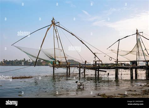 chinese fishing nets fort kochi cochin kerala india stock photo alamy