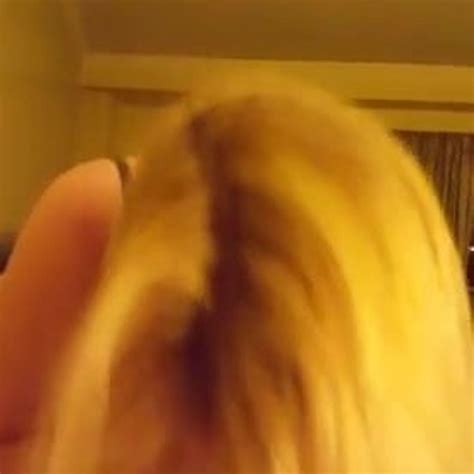 Amateur Blonde Blowjob Free Amateur Blowjob Porn Video D XHamster