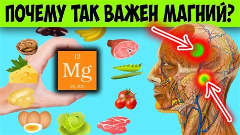 Зачем организму Магний? Польза и вред, противопоказания. Источники ...