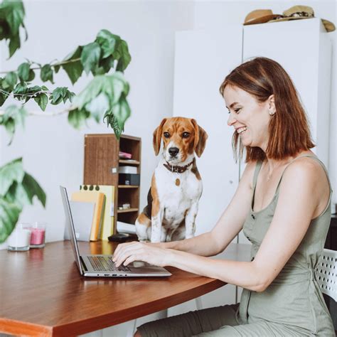 5 Keys To Unlocking A Lucrative Career As A Certified Transaction Coordinator In The Lone Star State