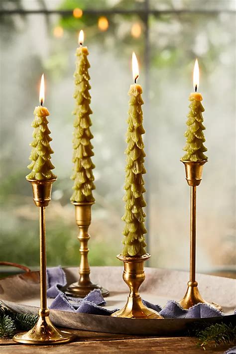 Tree Unscented Taper Candles Set Of 2 Terrain
