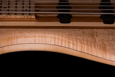 Naked Bass And Guitar Company No Treble