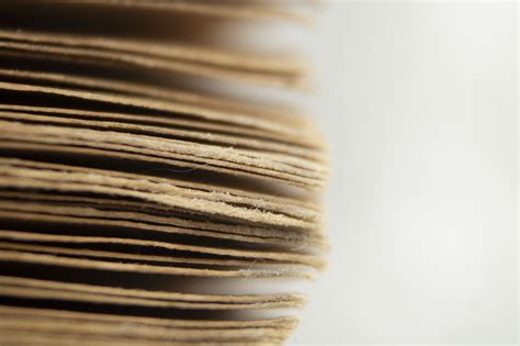 latar belakang wallpaper halaman foto gratis  pixabay pixabay