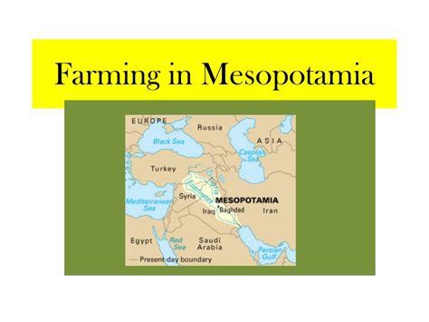 Mesopotamia Farming