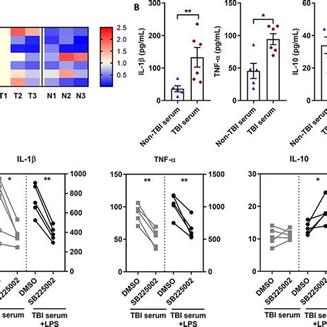 Cxcr2 Promotes Inflammatory Cytokine Secretion Of Monocytes And