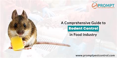 A Comprehensive Guide To Rodent Control In Food Industry Prompt Pest