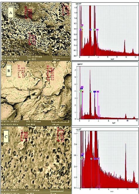 Sem With The Localized Elemental Analysis Inset And Eds Spectra Of