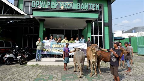 Ppp Banten Sembelih Sapi Dan Kerbau Di Hari Raya Idul Adha H