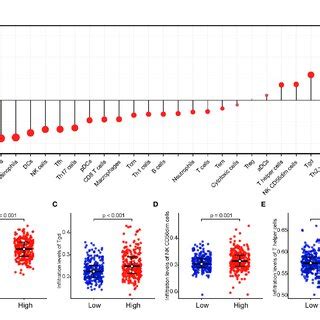 Nuf Expression Levels A Expression Levels Of Nuf In Lung