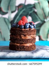 143 imágenes de Mini naked cake Imágenes fotos y vectores de stock