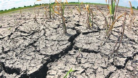 Uruguay Enfrenta La Peor Sequ A En A Os Y Sufre La Falta De Agua