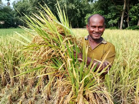 Empowering Bangladesh villages: Transforming small mixed farming ...