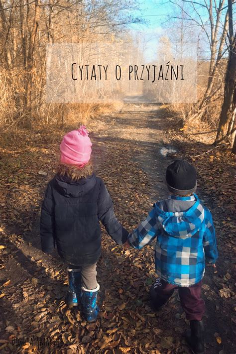 Krótkie Cytaty O Przyjaźni Dorota Smakuje