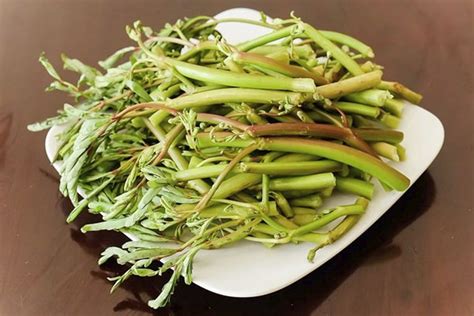 Rau Nhút Lặt Sẵn Ngon Miệng Thanh Mát Thực Phẩm Đồng Xanh