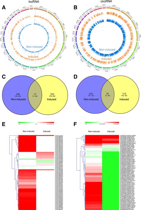 The apparent variations of differentially expressed lncRNAs and ...
