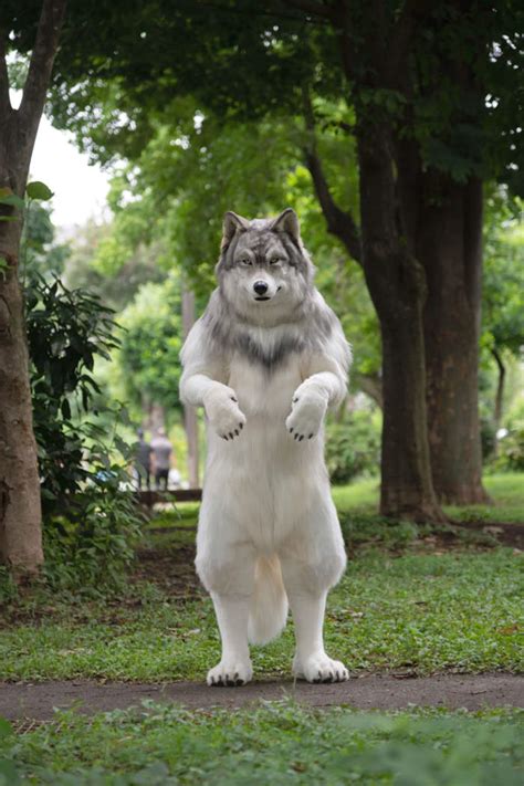 Man Who Dreamed Of Becoming A Wolf Spends 23000 On Hyper Realistic