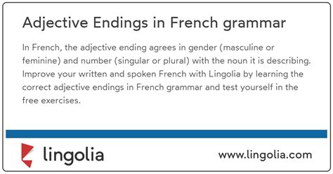Adjective Endings In French Grammar