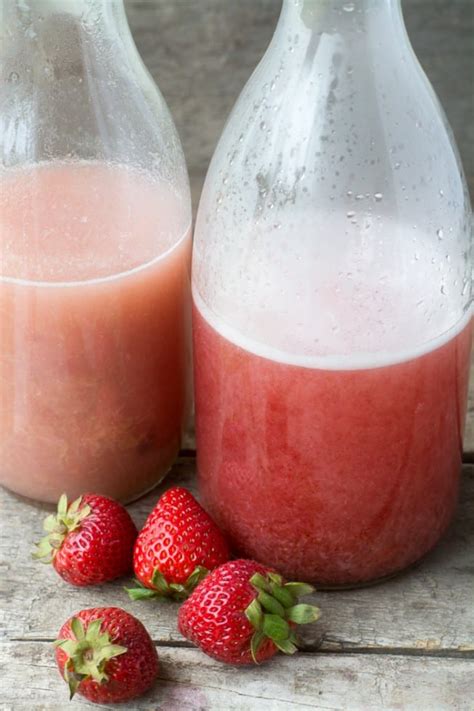 Easy Homemade Fruit Liqueur • From Any Fruit