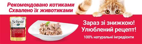 Зоотовары, товары для животных. Зоомагазин Рыжий Кот