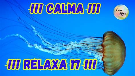 Calma Relaxa Sons Natureza M Sica Para Te Ajudar A Dormir