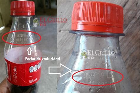 Credencial Falange Espalda La Coca Cola Tiene Fecha De Caducidad