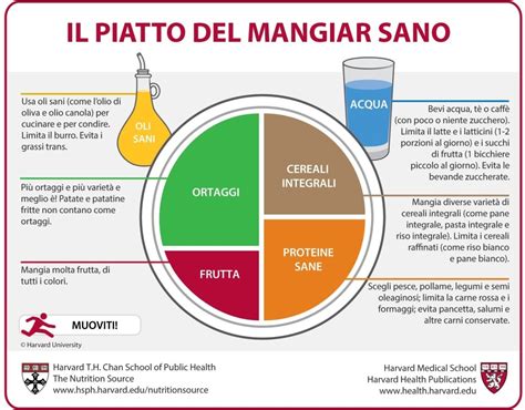 Quante Proteine Carboidrati E Grassi Al Giorno Per Dimagrire Buggy