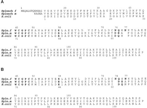 Alternate Sequence Alignments Of Thioredoxins Conserved Active Site