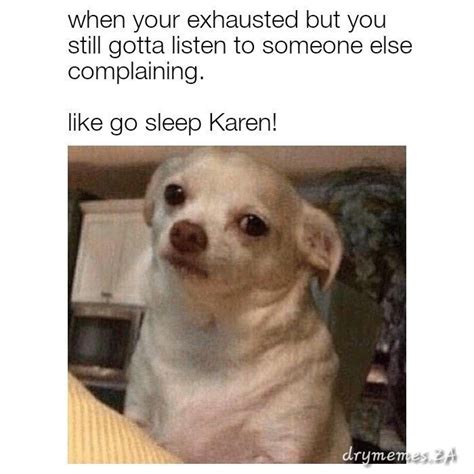 Karen Memes Funny Dog Memes Funny Memes Funny Pictures