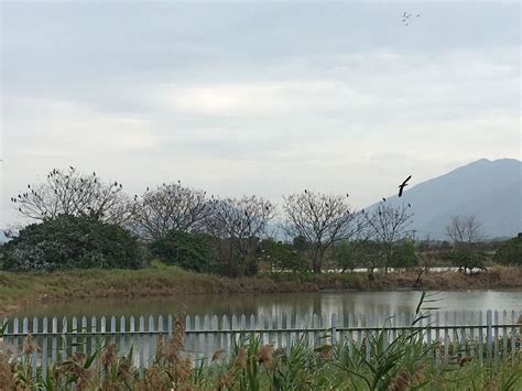 Hong Kong Wetland Park
