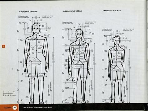 Measure Of Man And Woman
