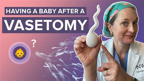 Get Pregnant After Vasectomy Your Options Explained Dr Lora Shahine