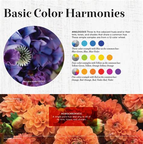 How Do Florists Color Flowers at Kimberly Mayer blog
