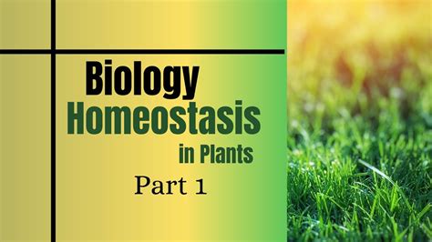 Homeostasis In Plants Part 1 YouTube