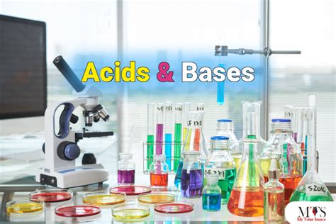 Acids Bases And Their Uses In Our Daily Life