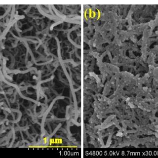 Fig S1 Surface Morphologies At The 30 000x Magnification Of A